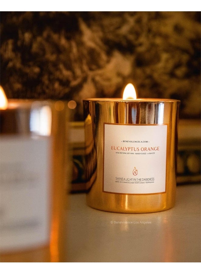 Benevolence LA Eucalyptus & Orange Scented Candles for Home Scented | Wood Wicked Candles | Eucalyptus Candle | 8 oz 45 Hour Burn, All Natural Soy Candle, Calming Aromatherapy Candles in Rose Gold Glass Jar - Image 2